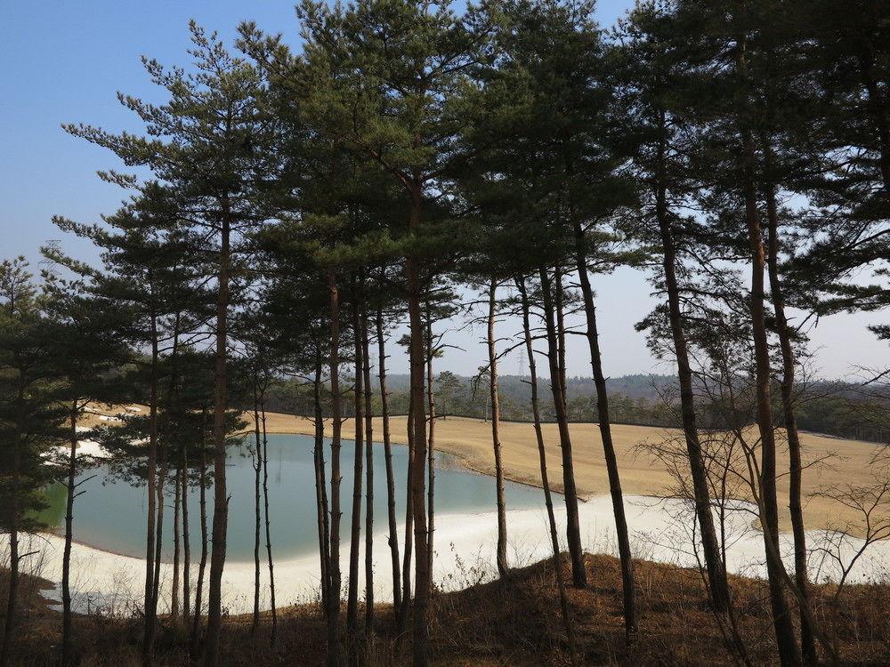 Hotel Pineridge à Sokcho Extérieur photo